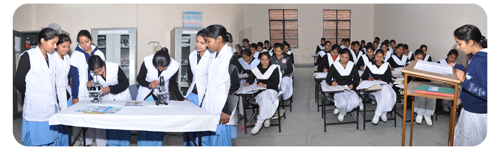 Students learing in class of GNNTIH Jalandhar